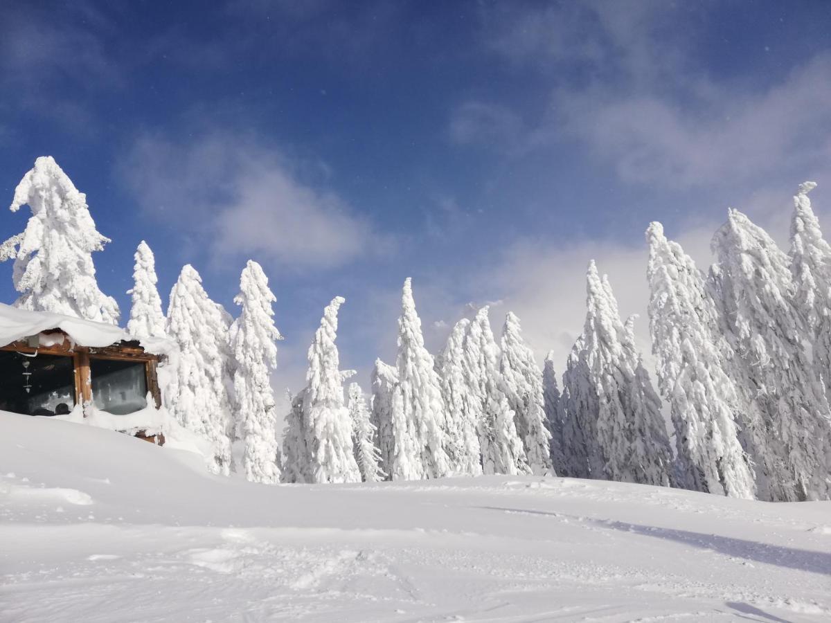 Haus Dienten Top 11 Динтен-ам-Хохкёниг Экстерьер фото